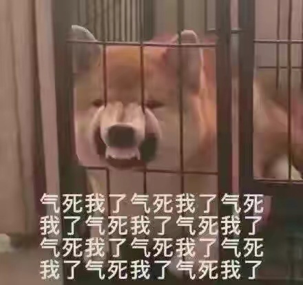 萌宠来袭什么意思