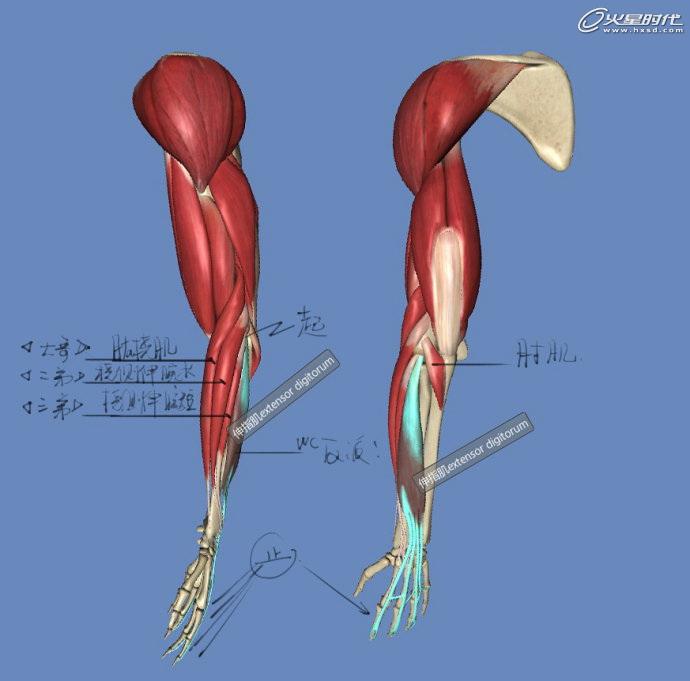 全面解析