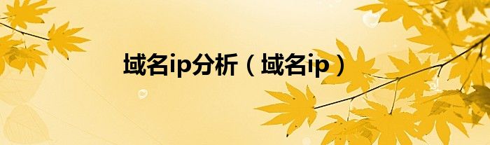 探究根域名服务器的技术细节与实现原理