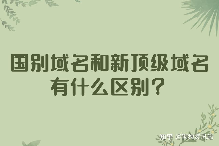 顶级域名多少钱